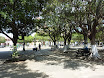 P1050884.JPG