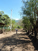 P1050950.JPG