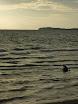 P1050990.JPG