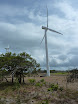 P1060018.JPG