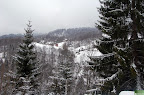 DSC_6737.JPG