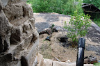 DSC_1532.JPG