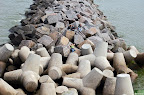 DSC_6151.JPG