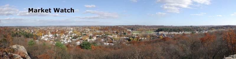 North Shore promontory neighborhood view - Match Watch banner - Credit Eric Kilby