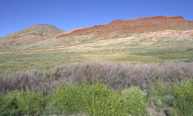 [_MG_0510_cr[4].jpg]