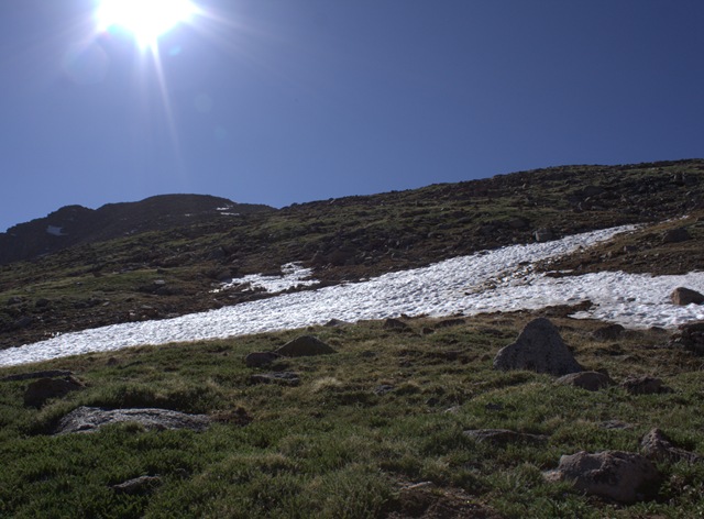 [_MG_9947_cr[5].jpg]