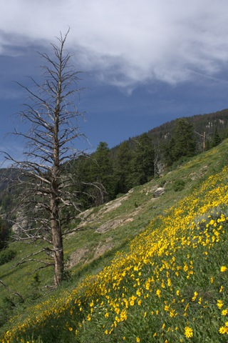[_MG_0886_cr[7].jpg]