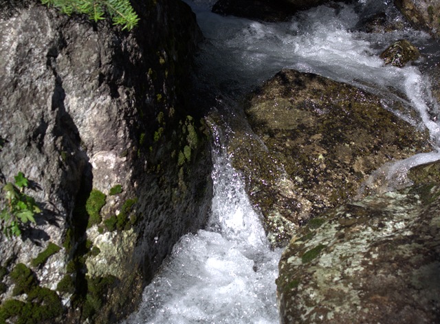 [_MG_0866_cr[4].jpg]
