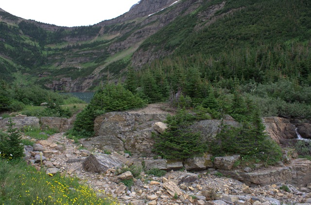 [_MG_2388_cr4.jpg]