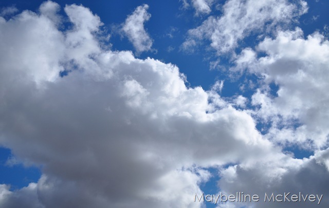 [DSC_2157_5379[12].jpg]