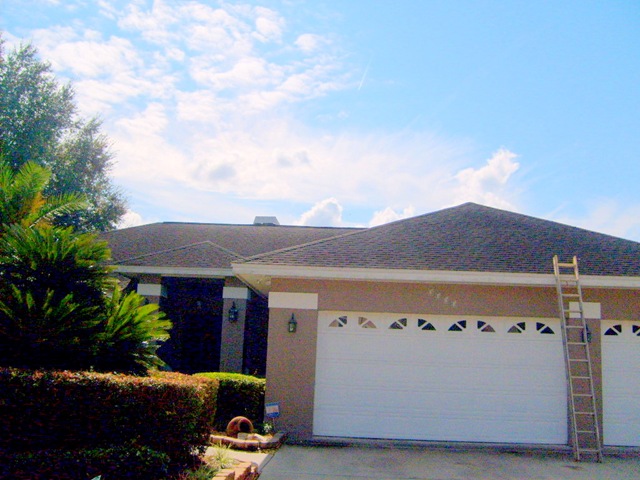 [Tampa Non Pressure Roof Cleaning 010[2].jpg]