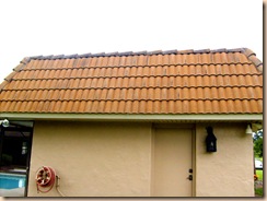 roof cleaning 028