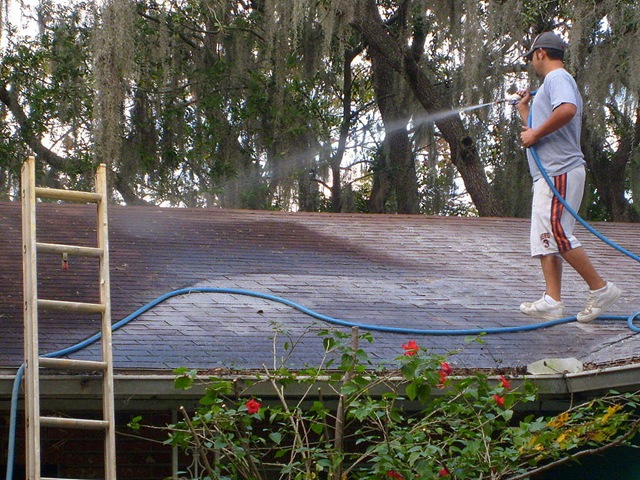 [Tampa Roof Cleaning 009[2].jpg]