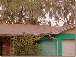 Tampa Roof Cleaning 011