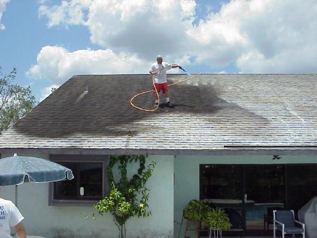 [tampa roof cleaning picture[2].jpg]