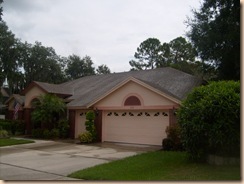 Tampa Roof Cleaning 039