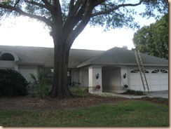 Tile-Roof-Cleaning-33601-Tampa-FL 11-17-2009 2-58-38 AM