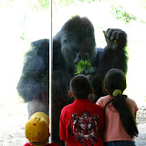 Sedgiwck County Zoo