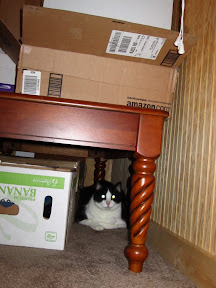 The Elliott Haz Shelters