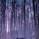 walter-sunrise-3.jpg