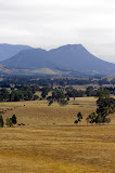 IMGP4805.JPG