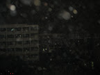 IMG_1750.JPG