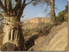 Dogon and Mopti 2011 103