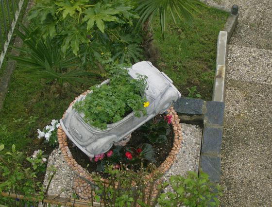 [fiori_450.jpg]