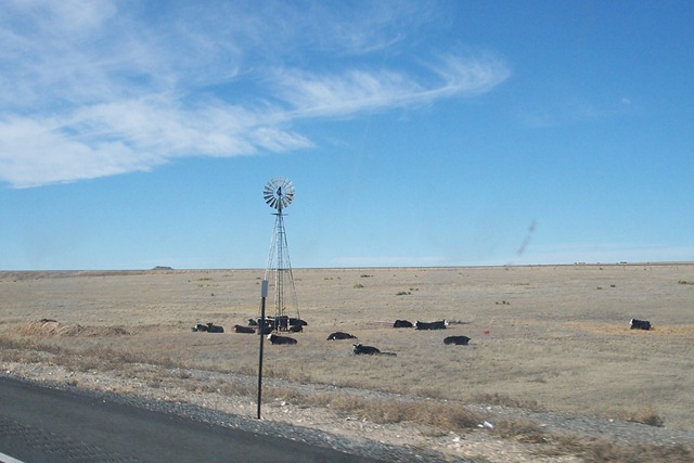 [CO0125-3[5].jpg]