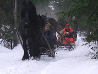 main17f0.jpg