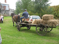 main0805.jpg