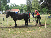 img_3790.jpg