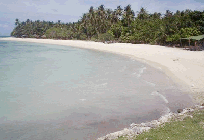 cebu beach lot