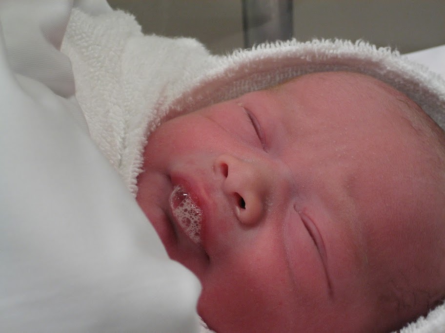 IMAGE: http://lh6.ggpht.com/_JY5WcXOrngo/TPNSZxTX9OI/AAAAAAAAA7g/x9HLNyhJLIM/s912/IMG_8613.JPG