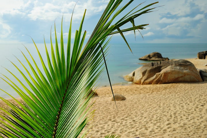 Koh Samui+Koh Tao in low season/сентябрь-октябрь, 2010+фото
