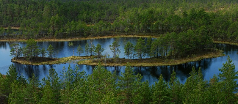 saar_panoraam saar_panoraam