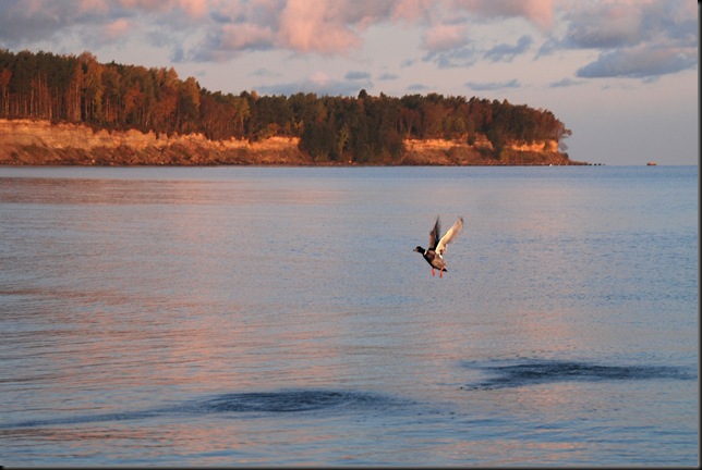 läände läände