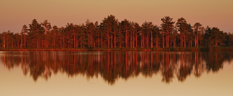 DSC_2857 DSC_2857