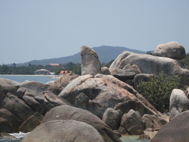 [SANY05622.jpg]