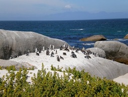 n48800109_32436952_9492[1]
