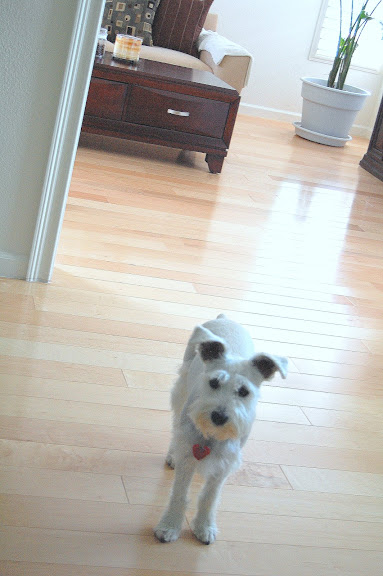 Can we please go on a walk!?