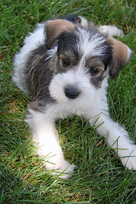 Adorable, dont you think?!