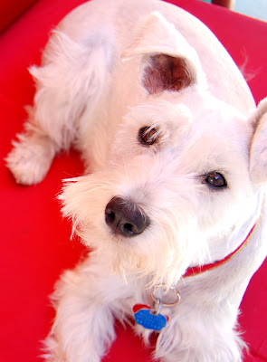 Maui: Is it time to go the park?