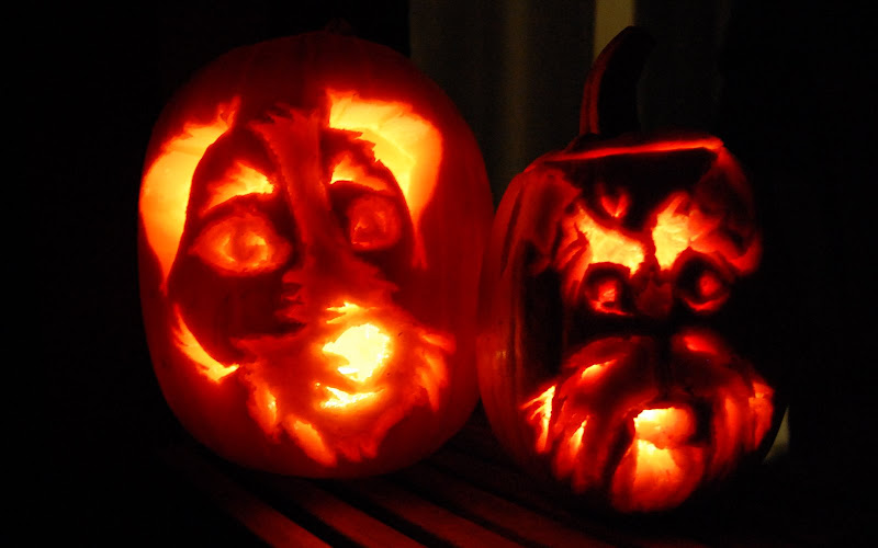 Maui and Hilos pumpkin - schnauzer and schnauzer. :) (Awesome job, Gloria!)