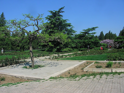 IMG_3653.JPG