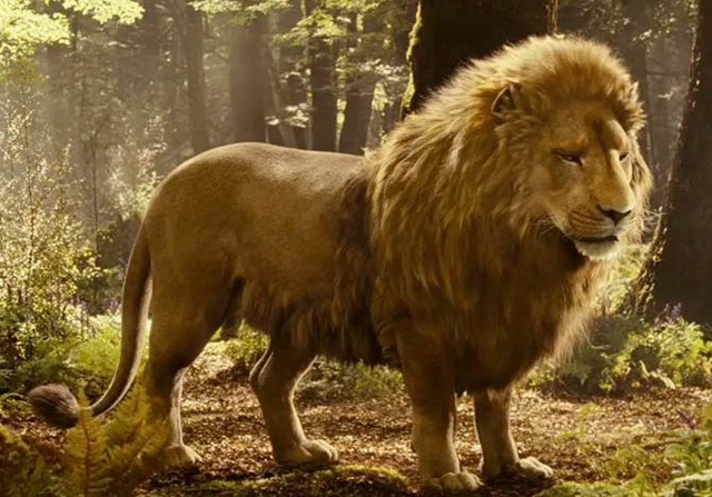 [Aslan[11].jpg]