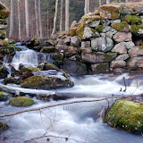 DSC_0380.JPG