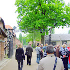 DSCF7112.JPG