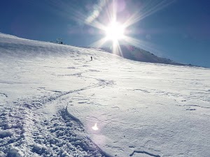 Falkert_20-3-2011_14.JPG