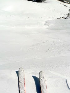 Falkert_20-3-2011_43.JPG